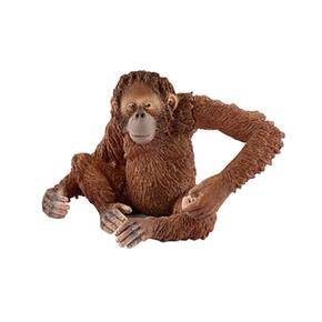 - Orangután Hembra Schleich