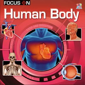 Human Body