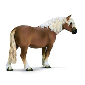 Ffa Caballo Haflinger/hafling Horse