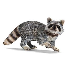 Ff Mapache/raccoon