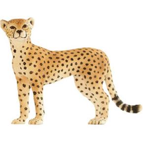 Fw Hembra Guepardo / Cheetah Female