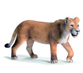 Fw Leona Caminando / Lioness Walking