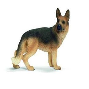 Fc Pastor Aleman Hem/german Sheperd Fem