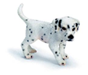 Fc Cachorro Dalmata/dalmattan Puppy