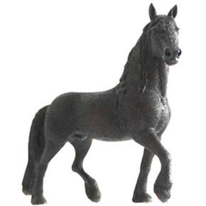 Ffa Semental Frison / Frisian Stallion