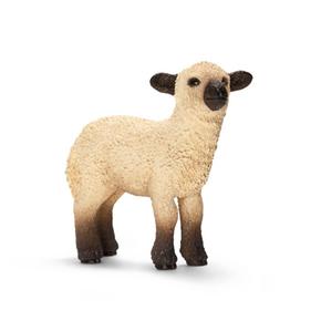 Corderito Shropshire. Schleich