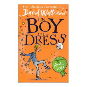 The Boy In The Dress