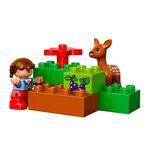 Lego Duplo – El Bosque: Parque – 10584-4