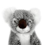 Peluche Koala-1