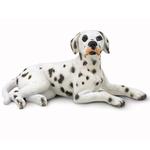 Fc Perro Dalmata/dalmatian