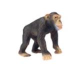 Fw Chimpacé Macho / Male Chimpanzee