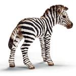 Fw Cebra Potro/zebra Foal