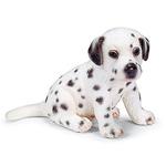 Fc Cria Dalmata Sentado/dalmatian Puppy, Sitting